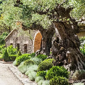 Domaine Les Mesanges Gassin